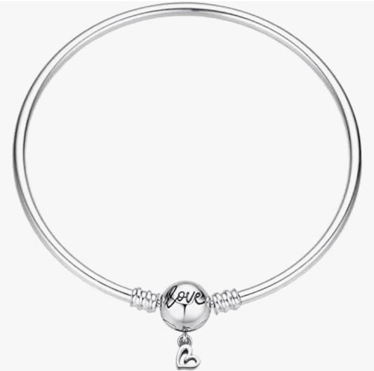 Bracelet dure en acier inoxydable